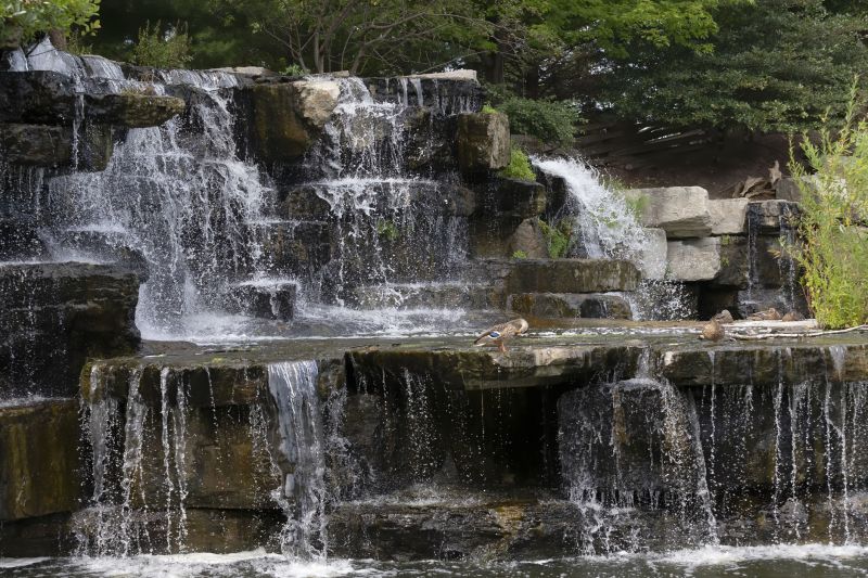 Landscape Contractors